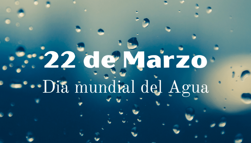 Día Mundial del Agua