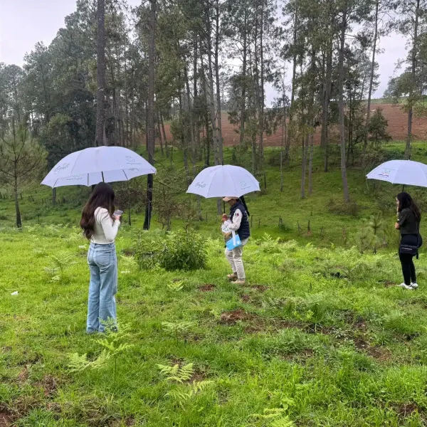 Terrenos campestres en Tapalpa