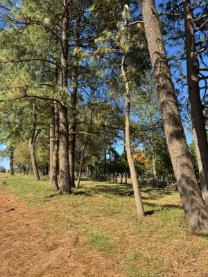 Solares_Tapalpa_7