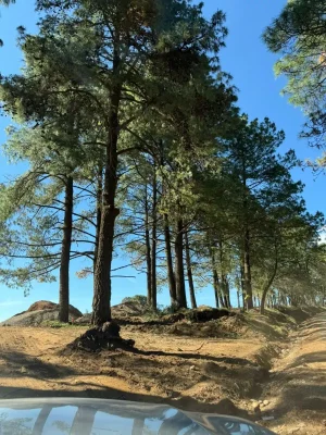 Solares_Tapalpa_9