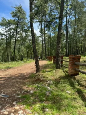 TipoDeCercasEnTerrenos5